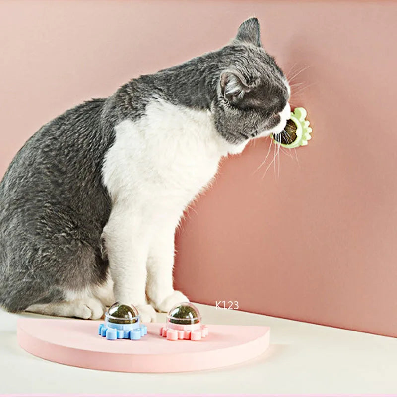 CatVita LickBall – Katzenminze Leck- & Snackball für Zahnpflege und Verdauung
