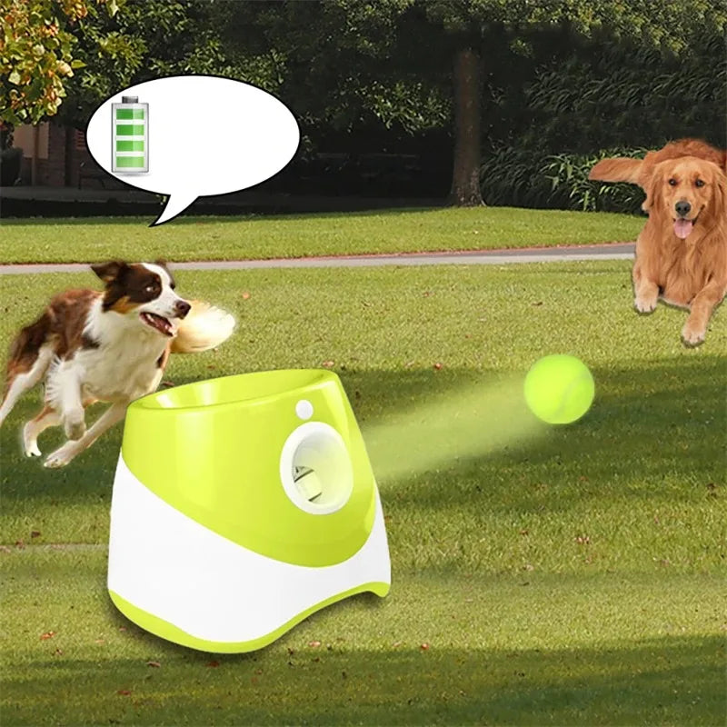Automatischer Ballwerfer für Hunde – 6 Bälle, USB-aufladbar, 5 cm