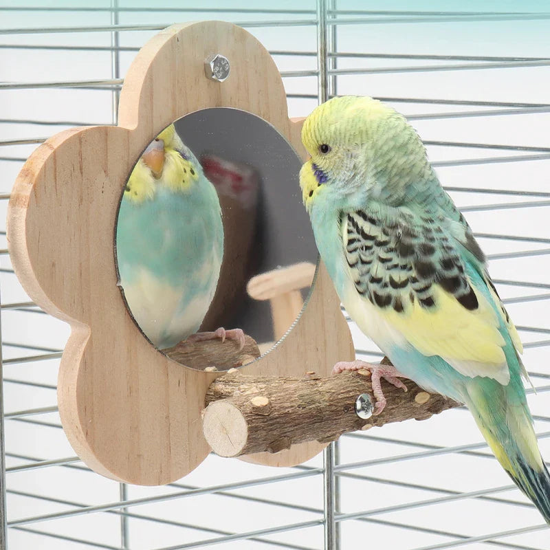 Vogelsitzstange aus Holz mit Spiegel – Natürliche Sitzplattform Größe S/M