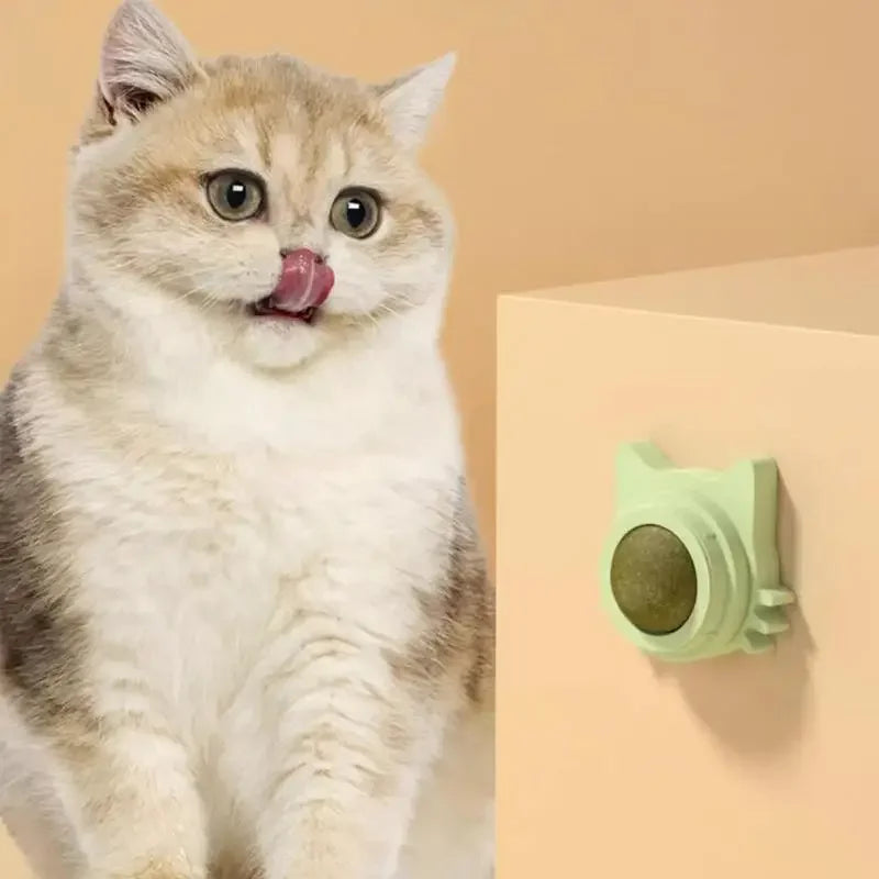 MINTYPLAY Leckbarer Kräuterball für Katzen – Snack, Spielzeug & Zahnpflege in einem!