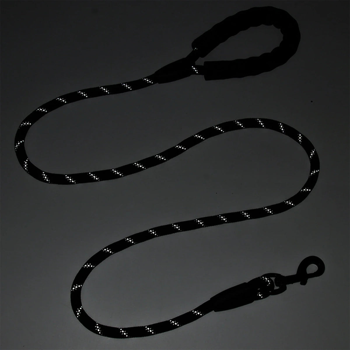 Komfortable Nylon-Hundeleine 1,5 m– gepolstert und reflektierend