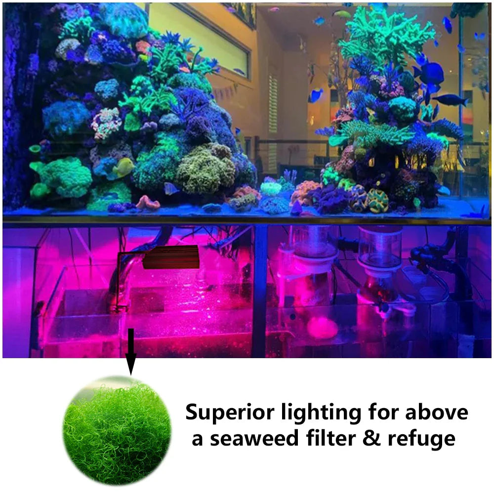 PopBloom Refugium Wachstumslampe