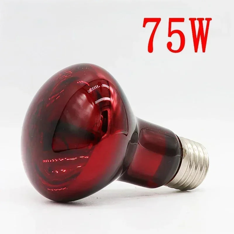 220-V-Infrarot-Heizlampe