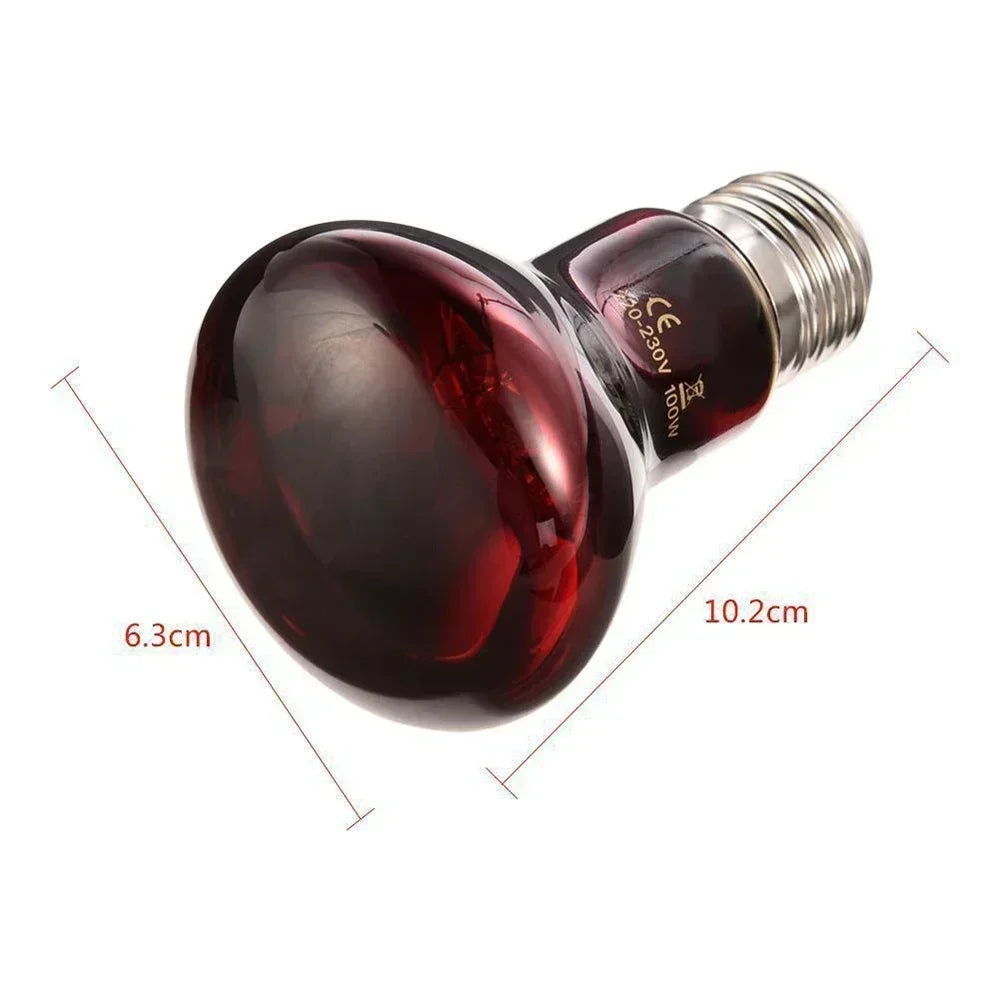 220-V-Infrarot-Heizlampe