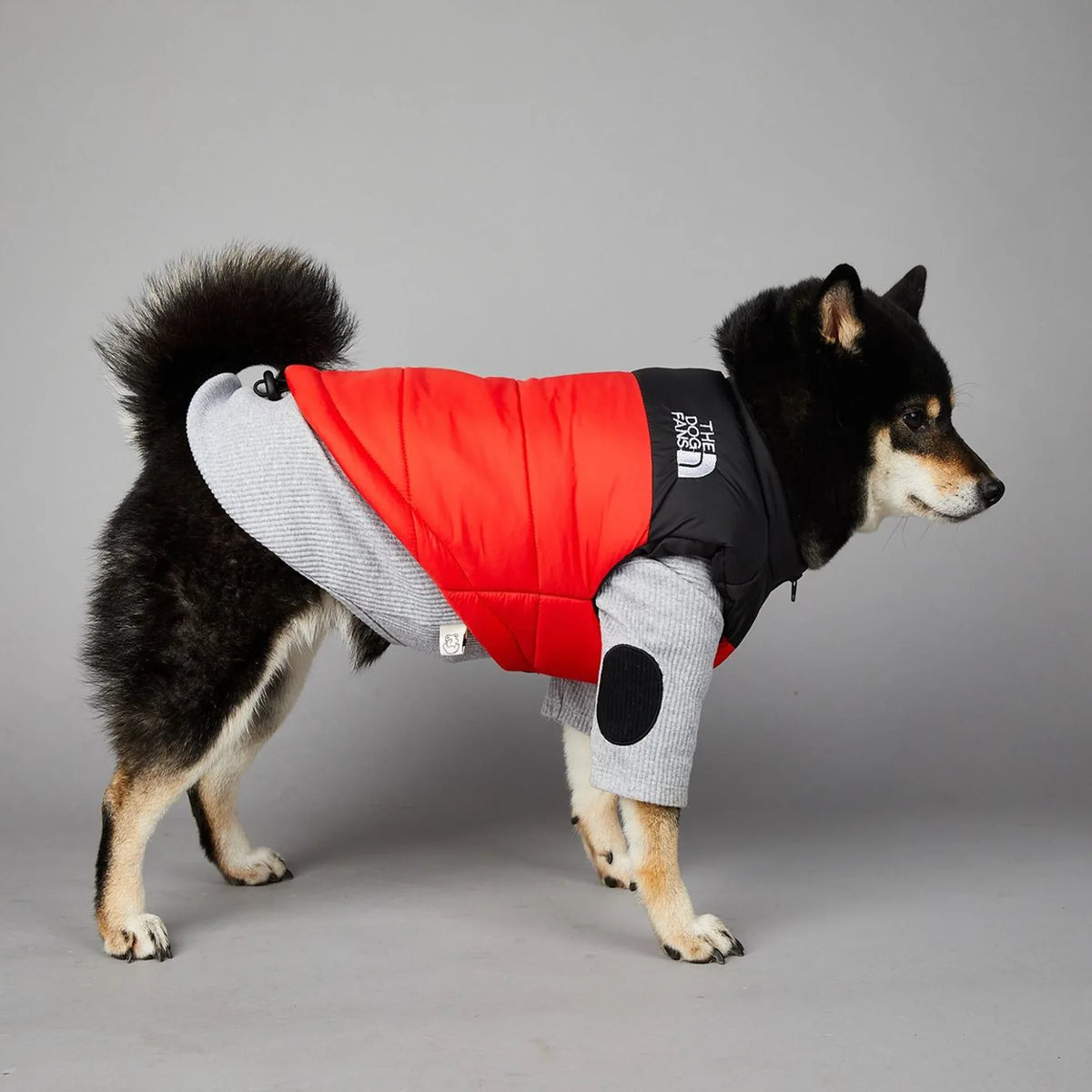 Der luxuriöse Hundeanzug für Hundefans