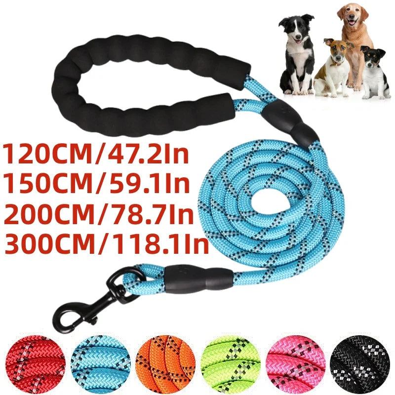 Robuste Nylon-Hundeleine 150 cm, 200 cm, 300 cm – mit weichem Griff und Karabinerhaken