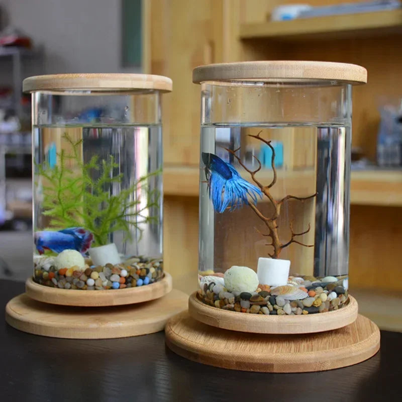 AquaGlow LED zylindrisches Mini-Aquarium