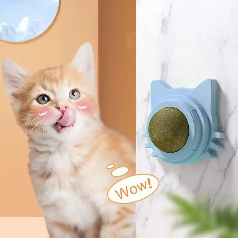 MINTYPLAY Leckbarer Kräuterball für Katzen – Snack, Spielzeug & Zahnpflege in einem!