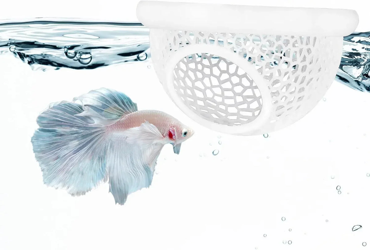 AquaHaven 3-in-1 Schwimmende Höhle & Futterring für Betta und Kleine Aquatische Haustiere