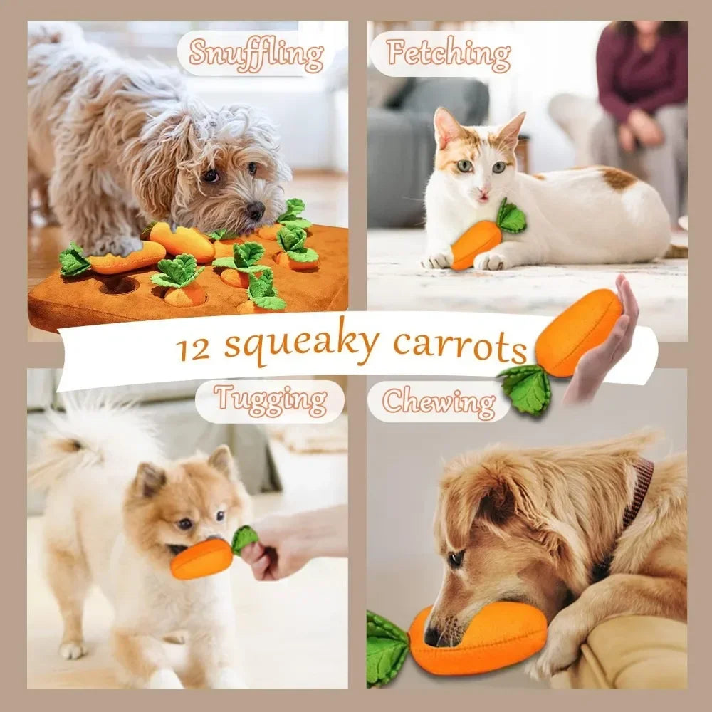 Karotten-Schnüffelmatte für Hunde – Interaktive Spielmatte mit 12 versteckten Karotten