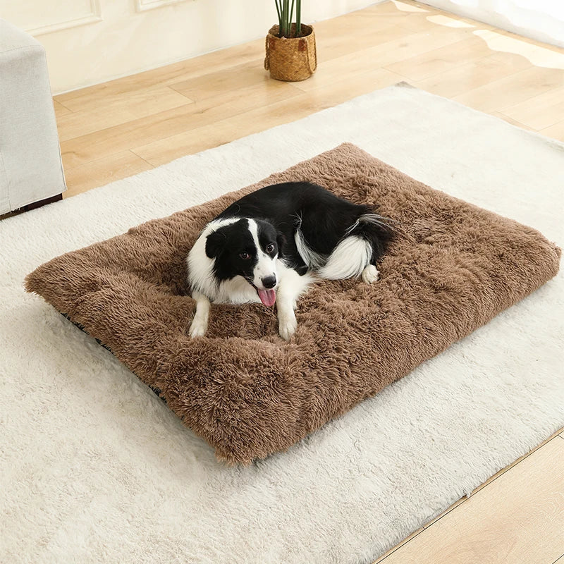 Paw Haven Luxus-Plüsch-Hunde- und Katzenbett