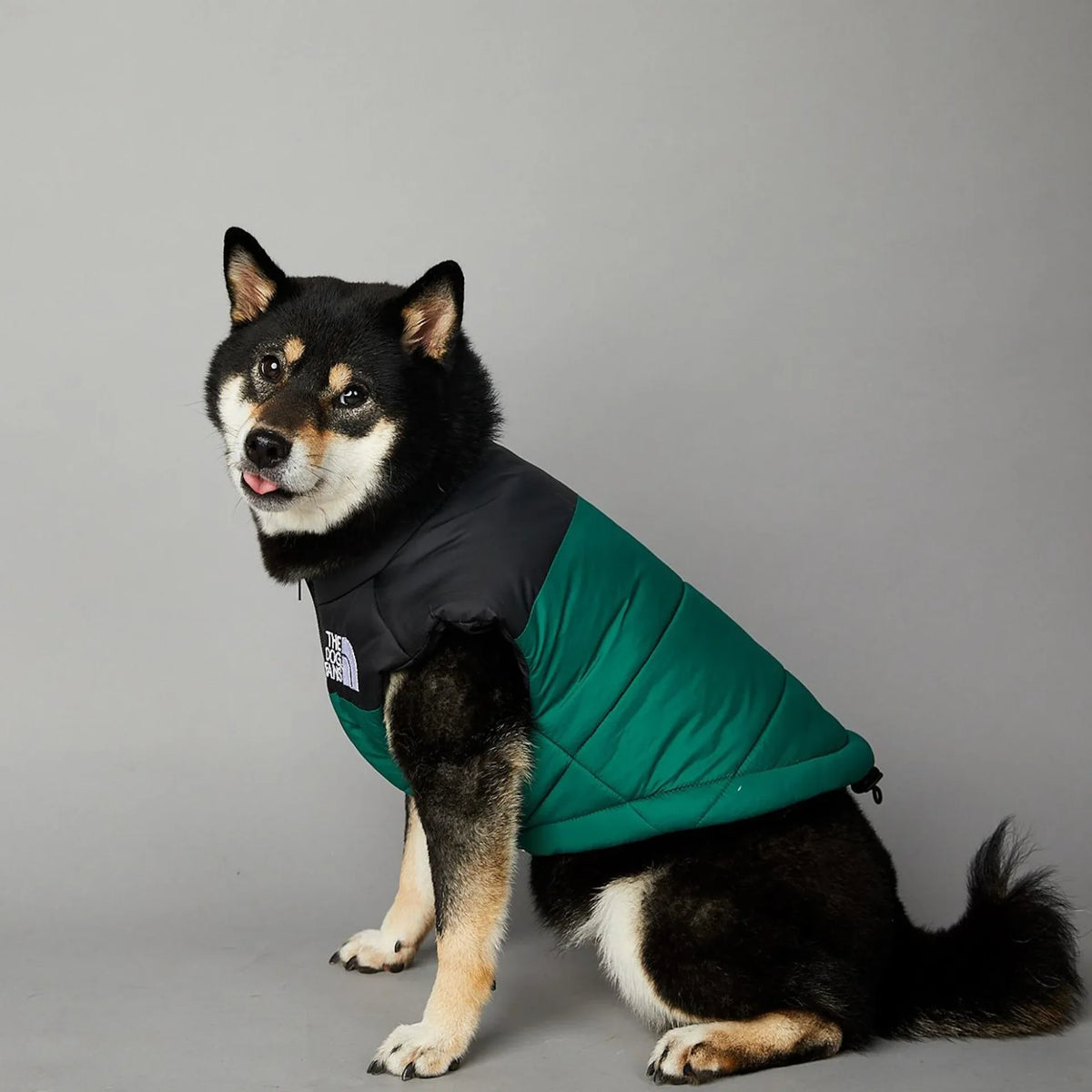 Der luxuriöse Hundeanzug für Hundefans