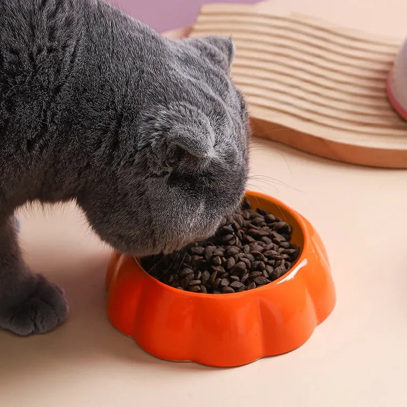 Keramik-Futternapf für Katzen/Hunde – breit und flach, Erdbeere/Wassermelone