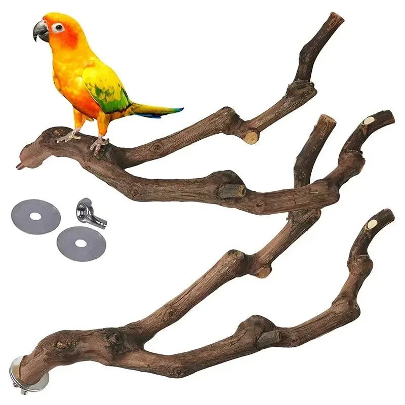Papageiensitzstange aus Weinrebenholz, natürlich für Schnabel und Krallen, 25 cm