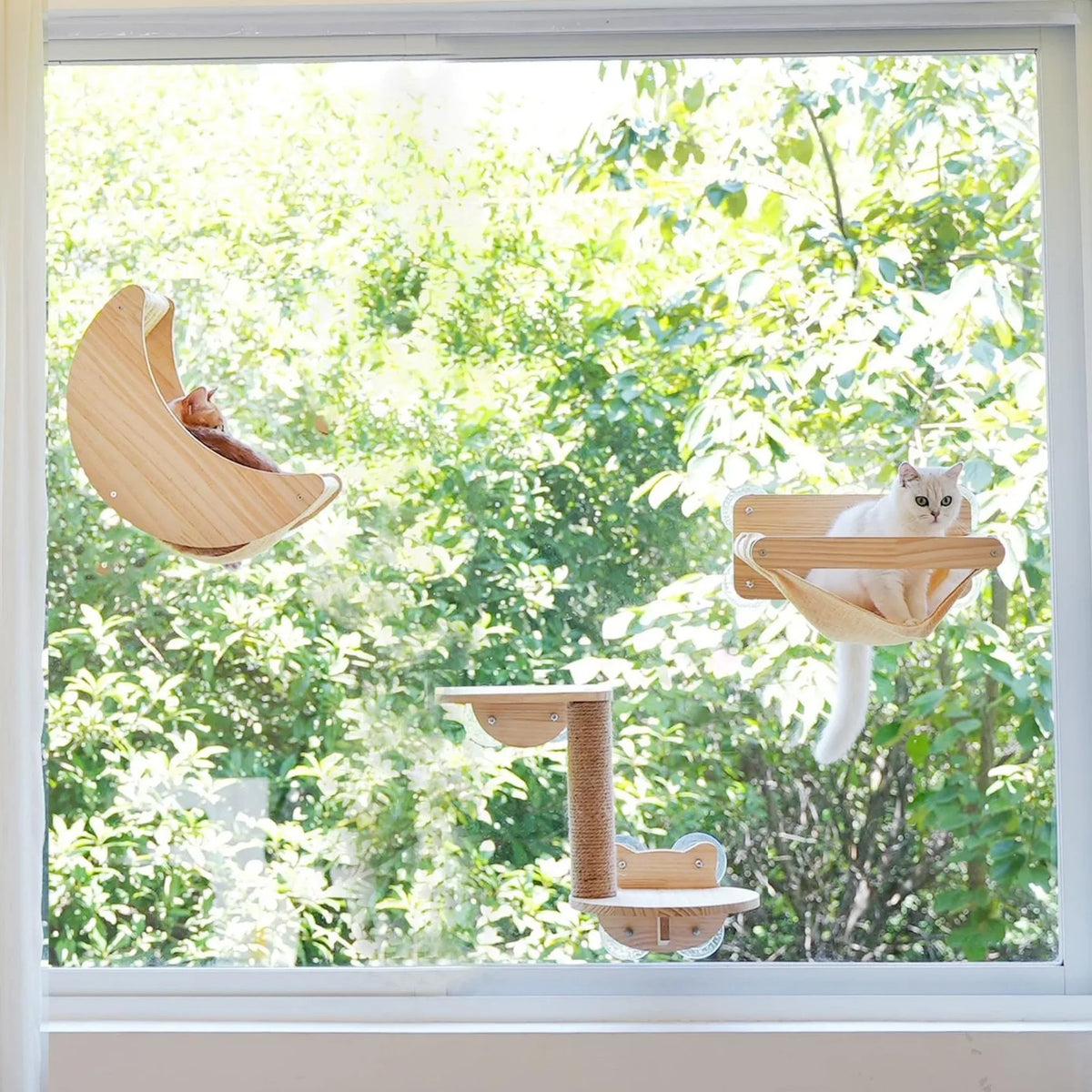 Katzen-Fensterhängematte aus Holz – Saugnapfbefestigung – 38 x 31,5 cm – bis zu 10 kg