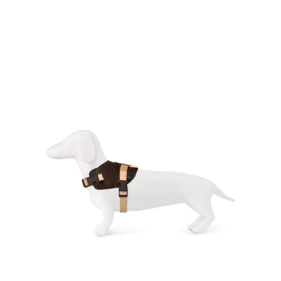 UrbanSafe Pets – Trendiges Brustgeschirr + Leine für Hunde & Katzen