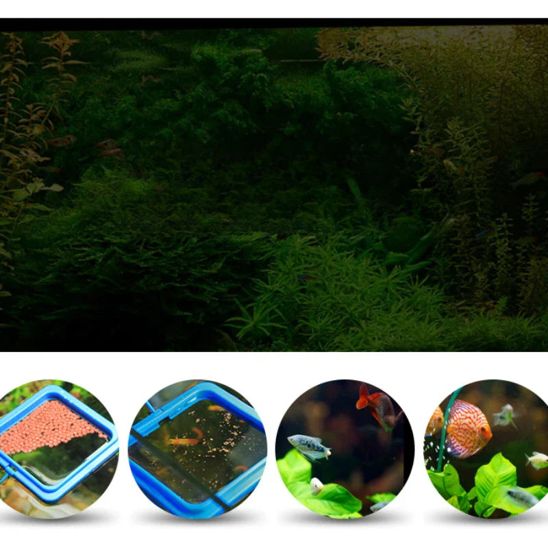 AquaRing Futterring für Aquarium