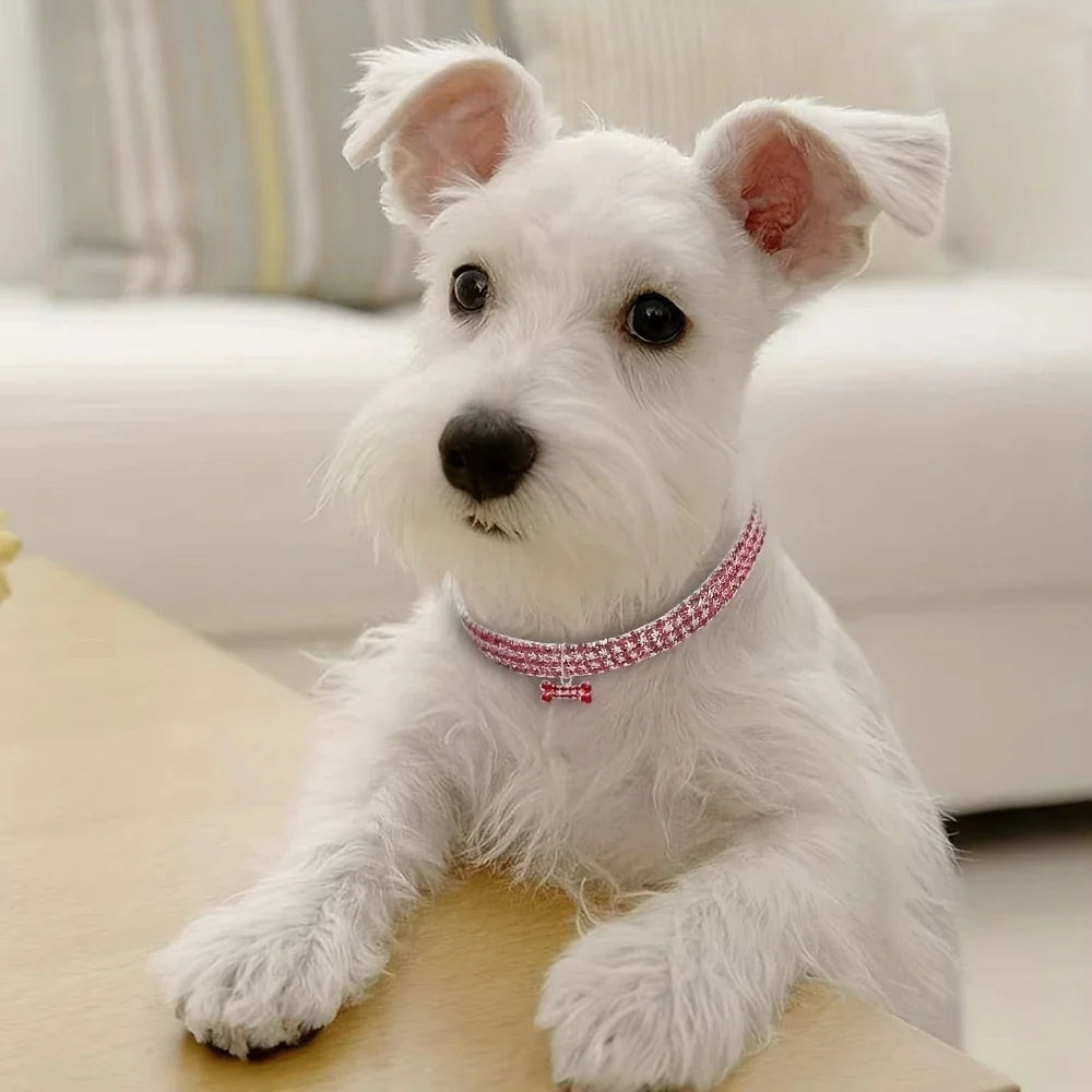 GlamBone Luxus-Hunde- und Katzenhalsband