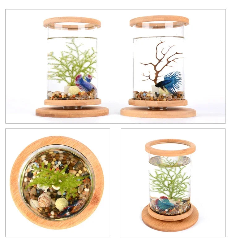 AquaGlow LED zylindrisches Mini-Aquarium