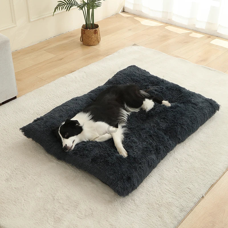 Paw Haven Luxus-Plüsch-Hunde- und Katzenbett