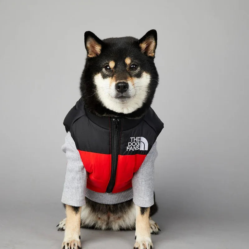 Der luxuriöse Hundeanzug für Hundefans