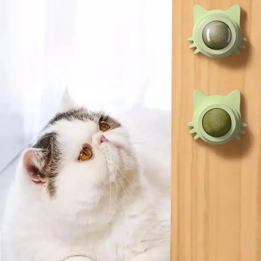 MINTYPLAY Leckbarer Kräuterball für Katzen – Snack, Spielzeug & Zahnpflege in einem!
