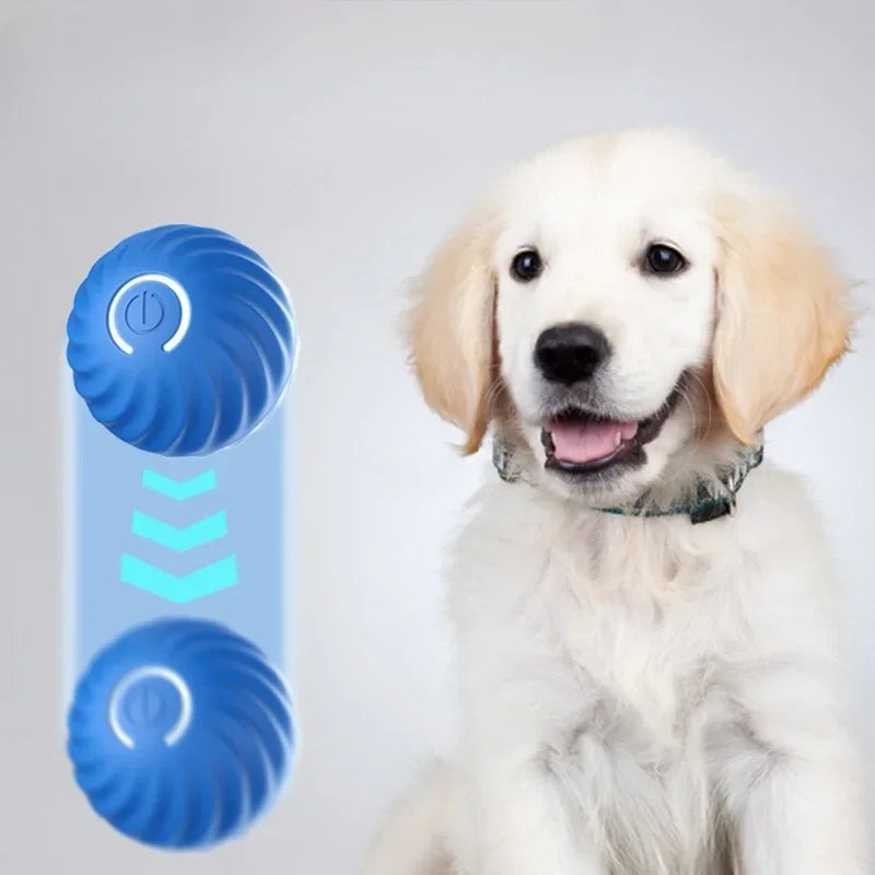 JumpiBall – Intelligenter Hüpfball für Hunde