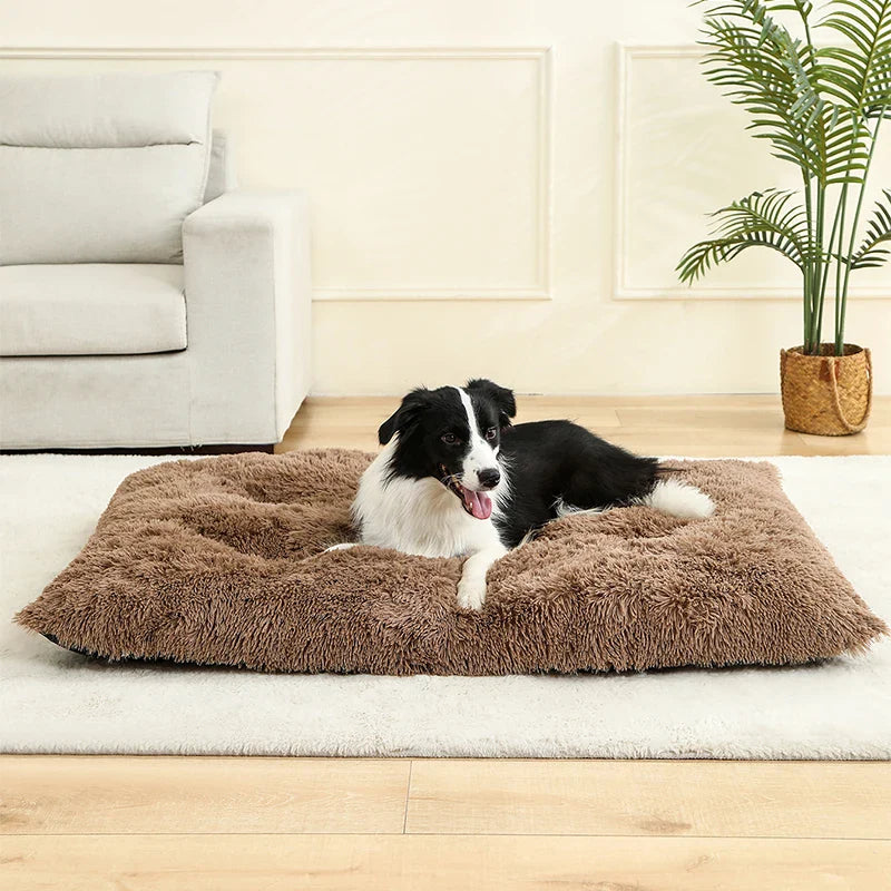 Paw Haven Luxus-Plüsch-Hunde- und Katzenbett