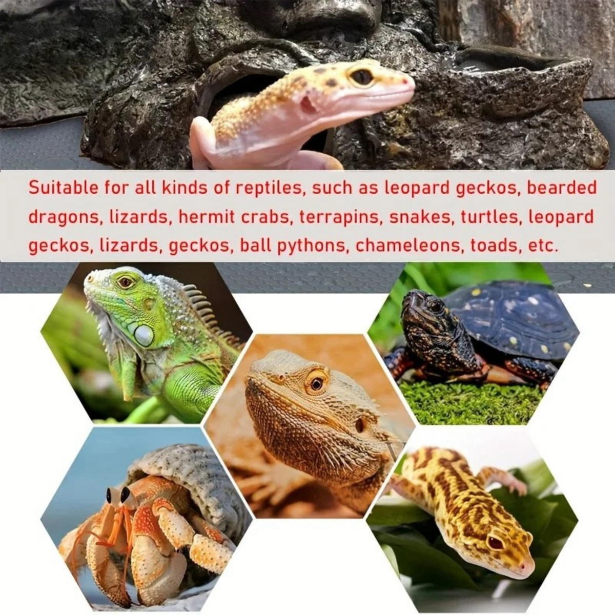 Terrarienauskleidungsmatte für Reptilien