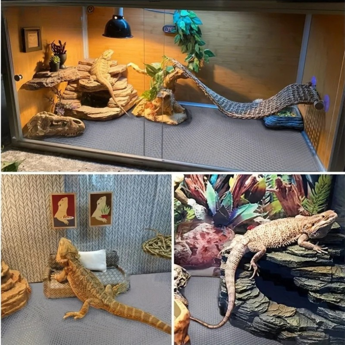 Terrarienauskleidungsmatte für Reptilien