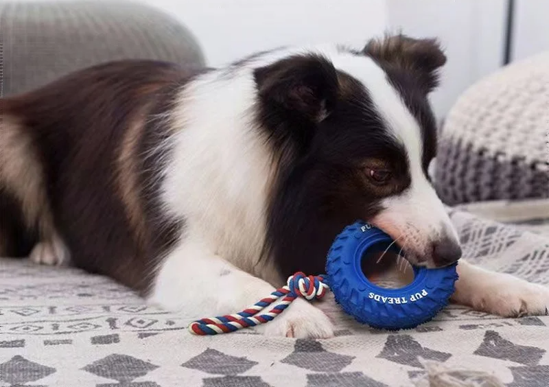 Climb Paws Hunde-Beißspielzeug