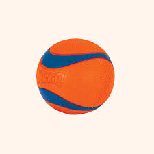 Chuckit UltraBounce Spielball – Kleiner Hüpfball für Hunde