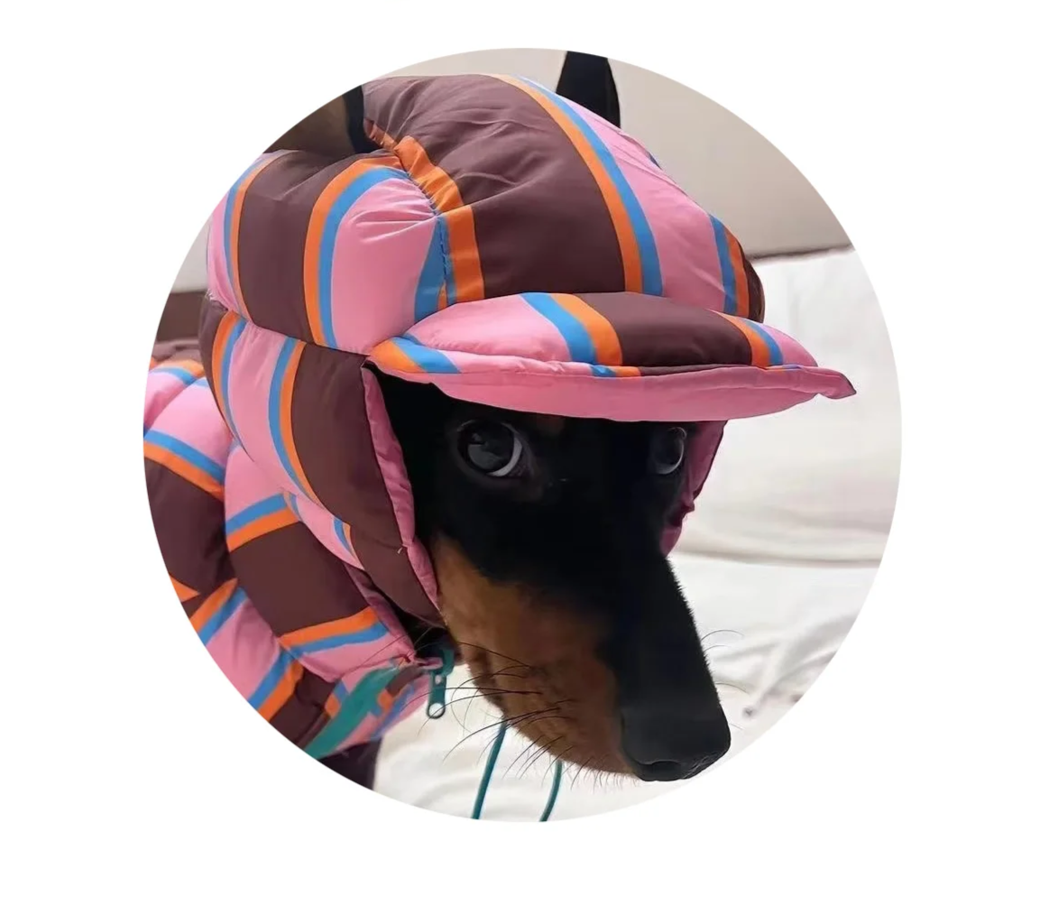 Winter Warm Dog Cotton Coat