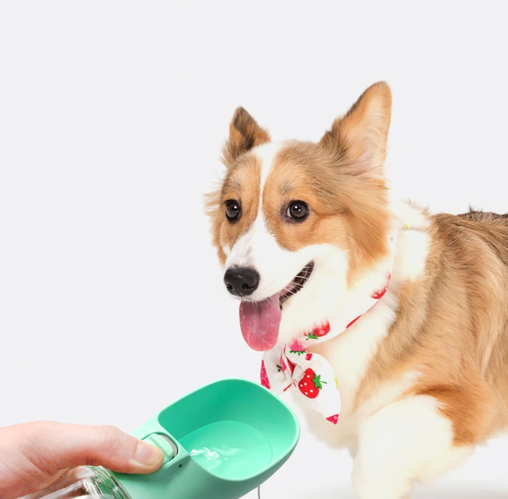 HYDROPAW – Tragbare Wasserflasche für Hunde & Katzen