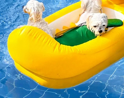 SwimBuddy 2-in-1 Hundepool-Schwimmhilfe