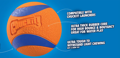 Chuckit UltraBounce Spielball – Kleiner Hüpfball für Hunde