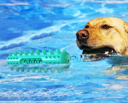 AquaBite Schwimmendes Quietschspielzeug für Hunde