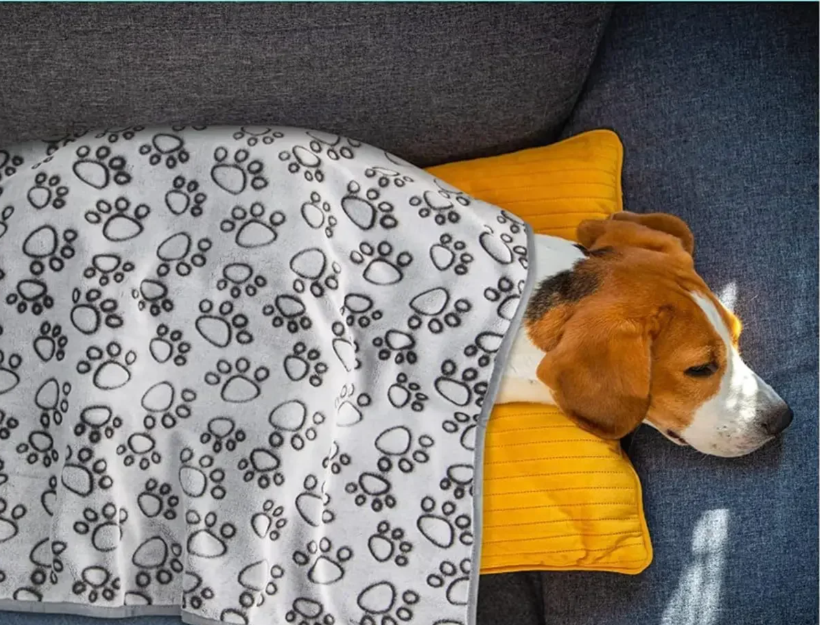 SnugglePaws CozyCotton – Niedliche & Warme Haustierdecke aus Baumwolle mit Cartoon-Motiv