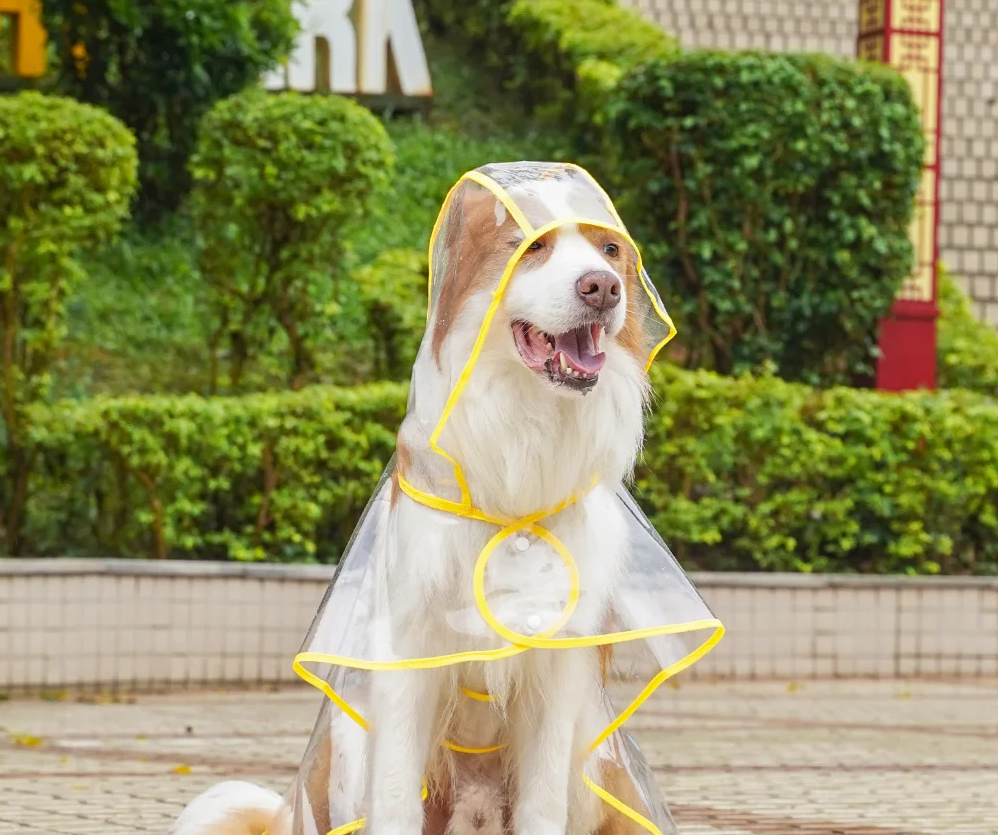 ClearPaw Transparenter Regenmantel für Hunde