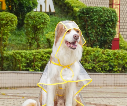 ClearPaw Transparenter Regenmantel für Hunde