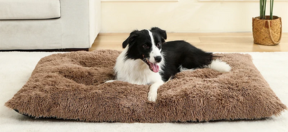 Paw Haven Luxus-Plüsch-Hunde- und Katzenbett