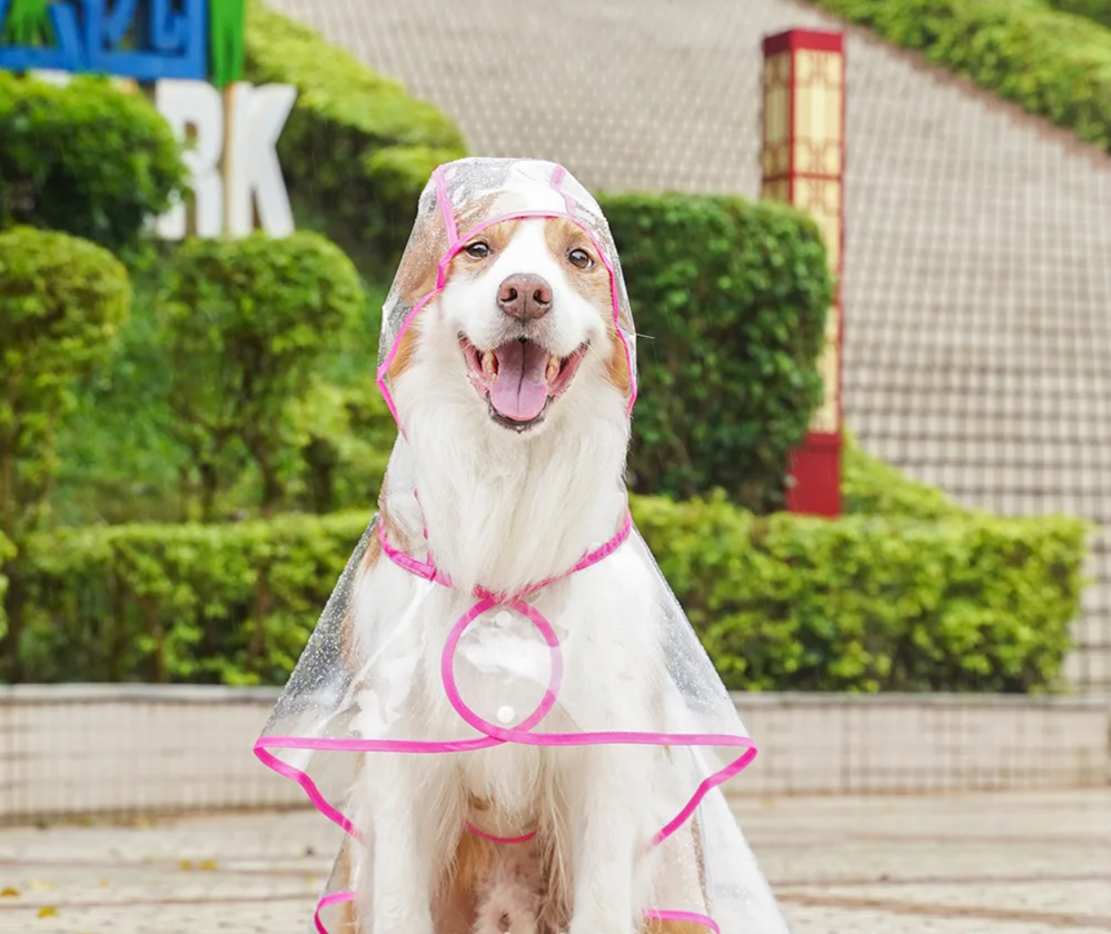 ClearPaw Transparenter Regenmantel für Hunde