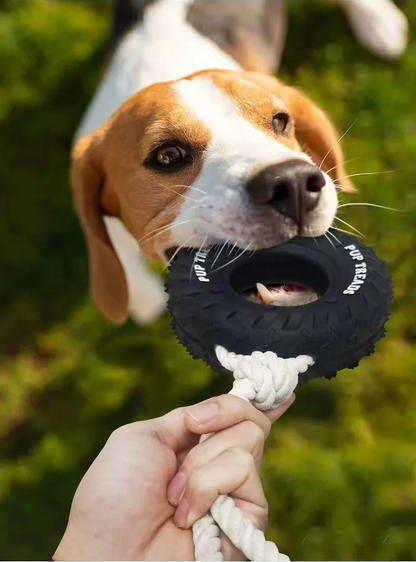 Climb Paws Hunde-Beißspielzeug