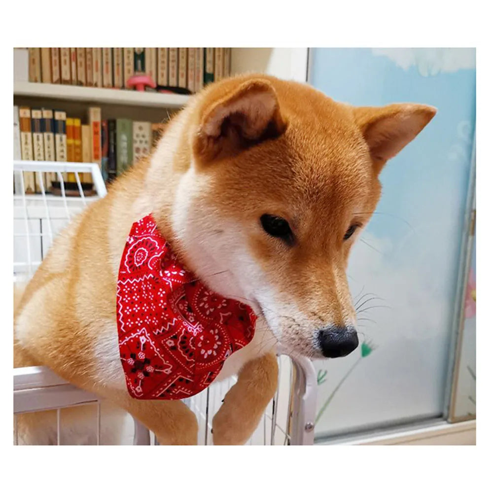 PawStyle Bandana-Halskette