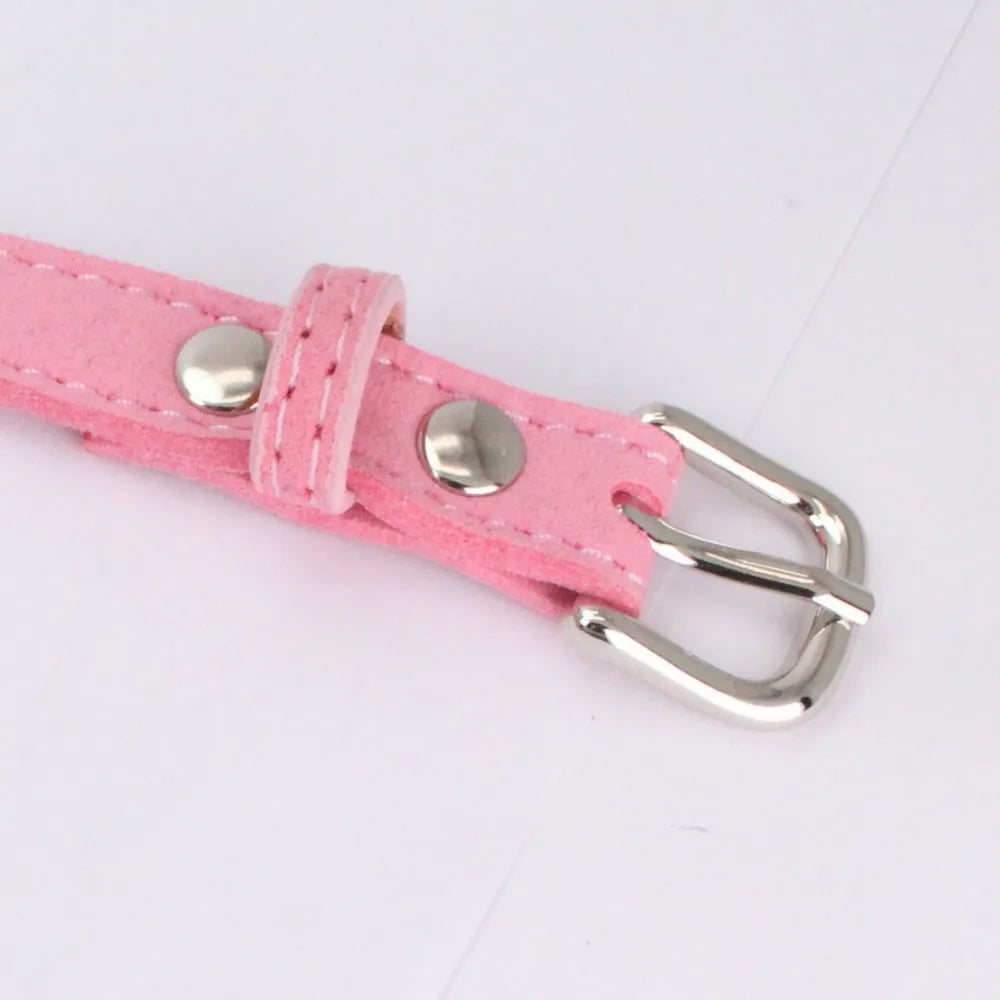 VelvetBow Luxus-Hunde- und Katzengeschirr mit Strass-Fliege