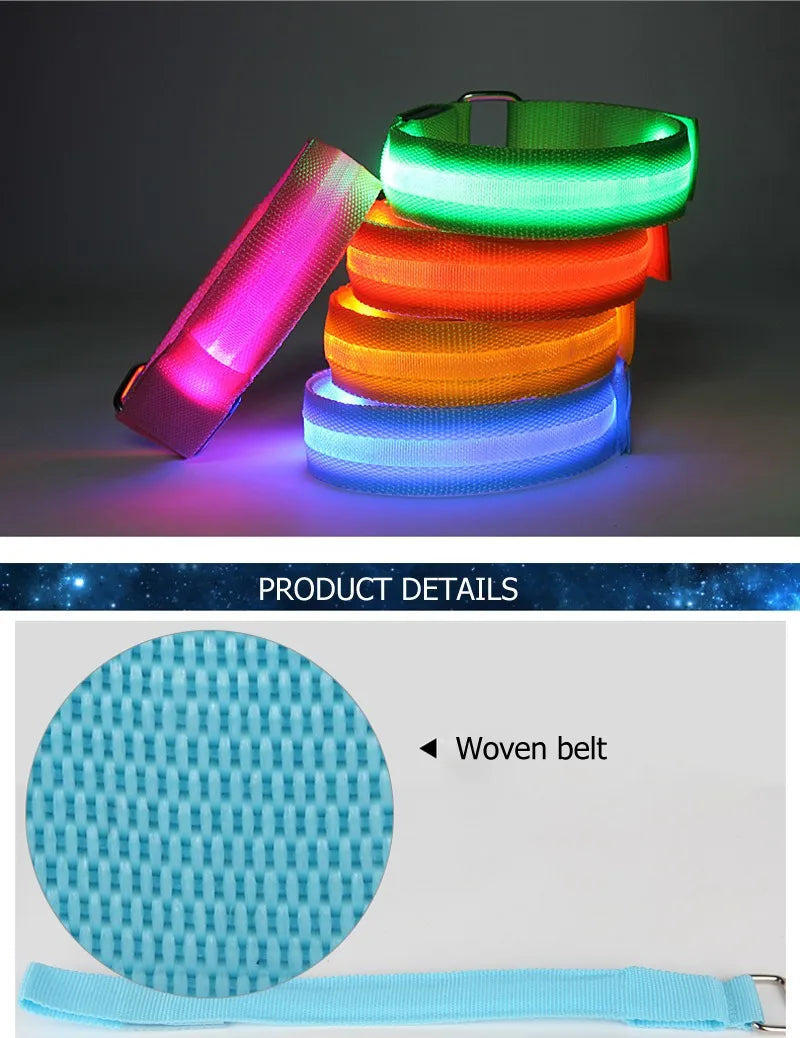NightStride Safe – LED Sicherheits-Beinbänder für Pferde