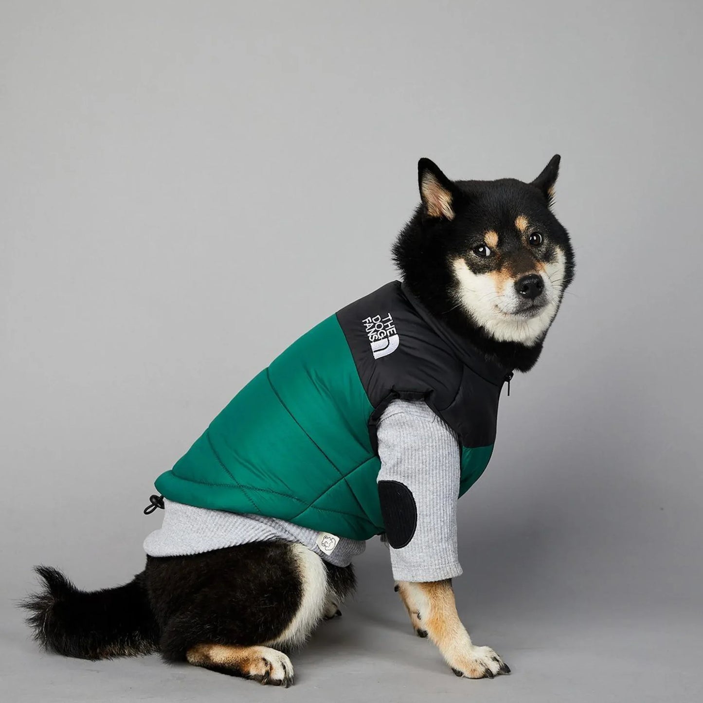 Der luxuriöse Hundeanzug für Hundefans