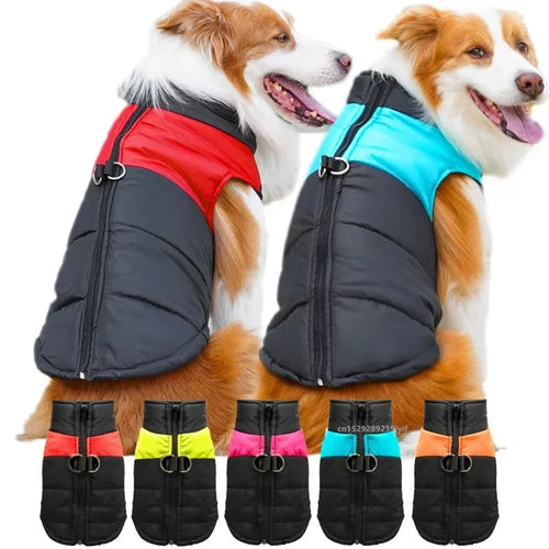 FurWarm – Wasserdichter, warmer Hundemantel mit Reißverschluss und Wattierung