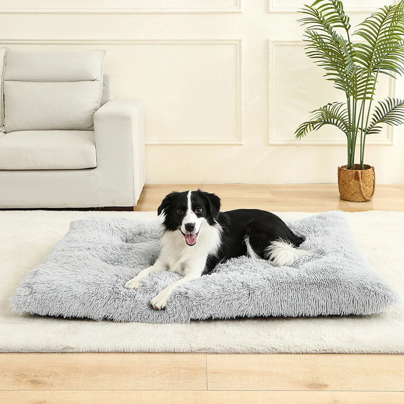 Paw Haven Luxus-Plüsch-Hunde- und Katzenbett