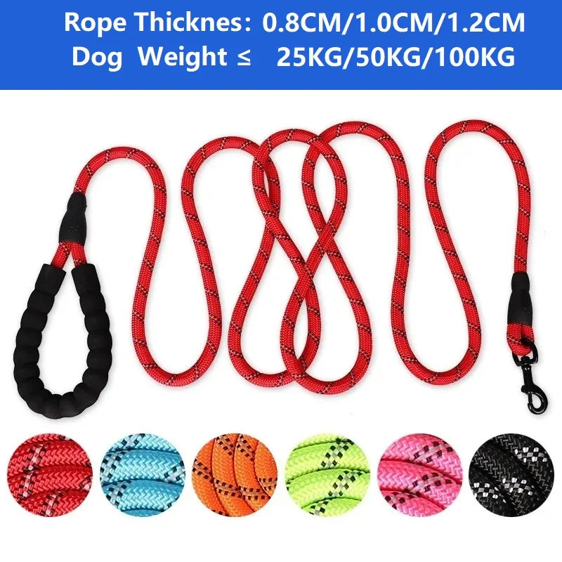 Robuste Nylon-Hundeleine 150 cm, 200 cm, 300 cm – mit weichem Griff und Karabinerhaken